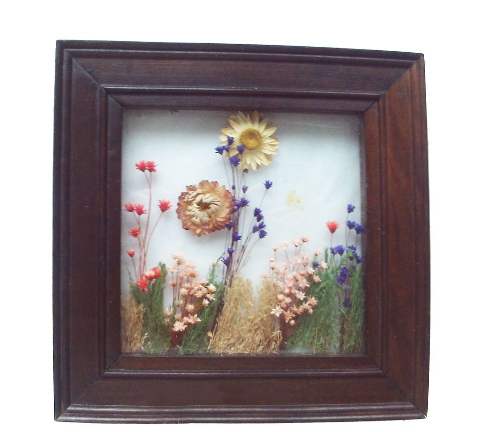 Tableau fait main fleurs s�ch�es sous verre 15 Villeurbanne (69)