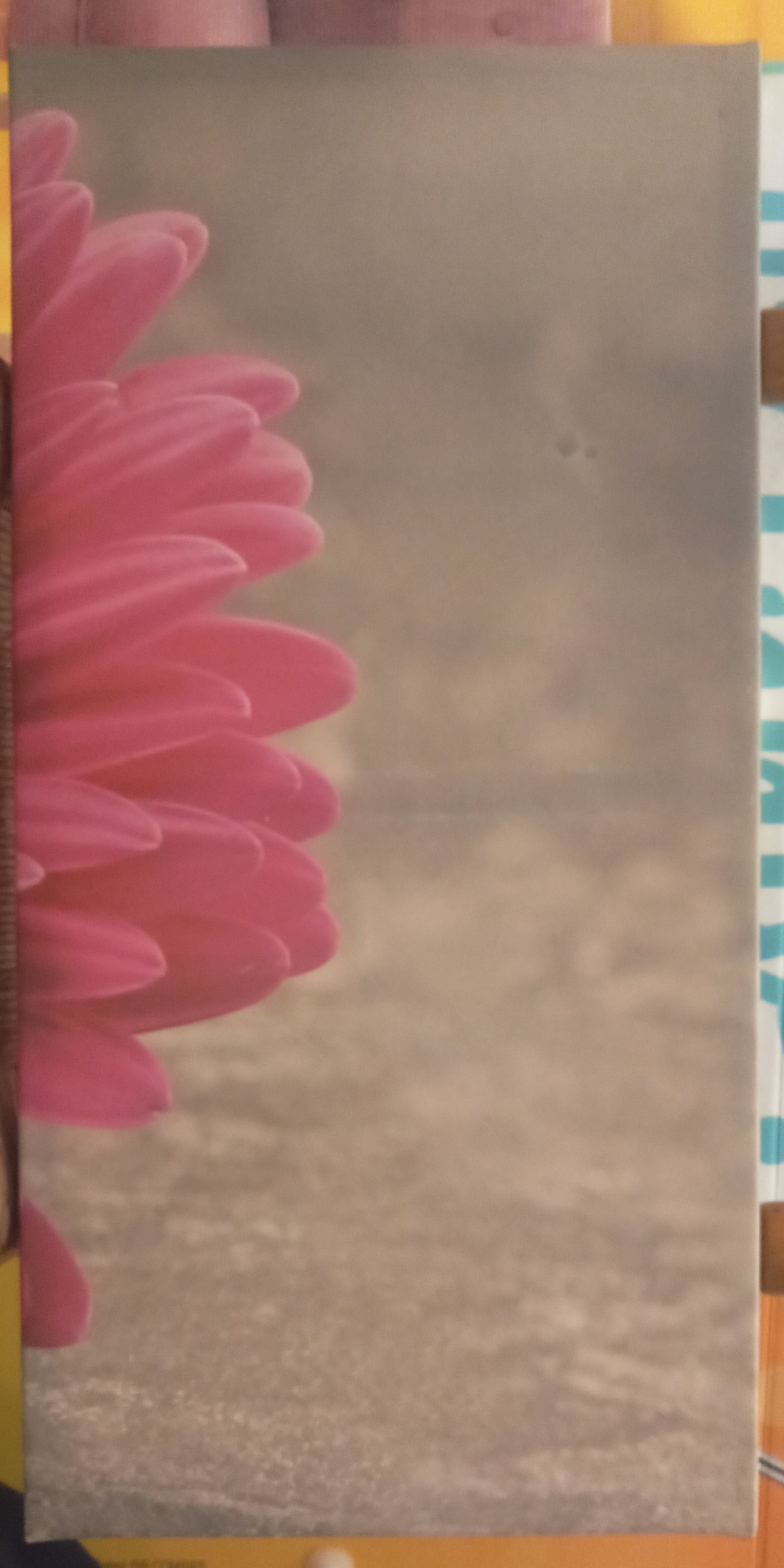 TABLEAU FLEUR ROSE EN  D�COUPE 5 Grasse (06)