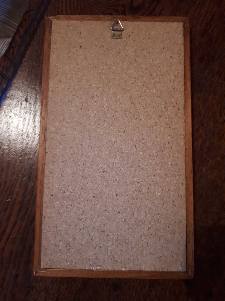 tableau fleurs s�ch�es 5 Miniac-Morvan (35)