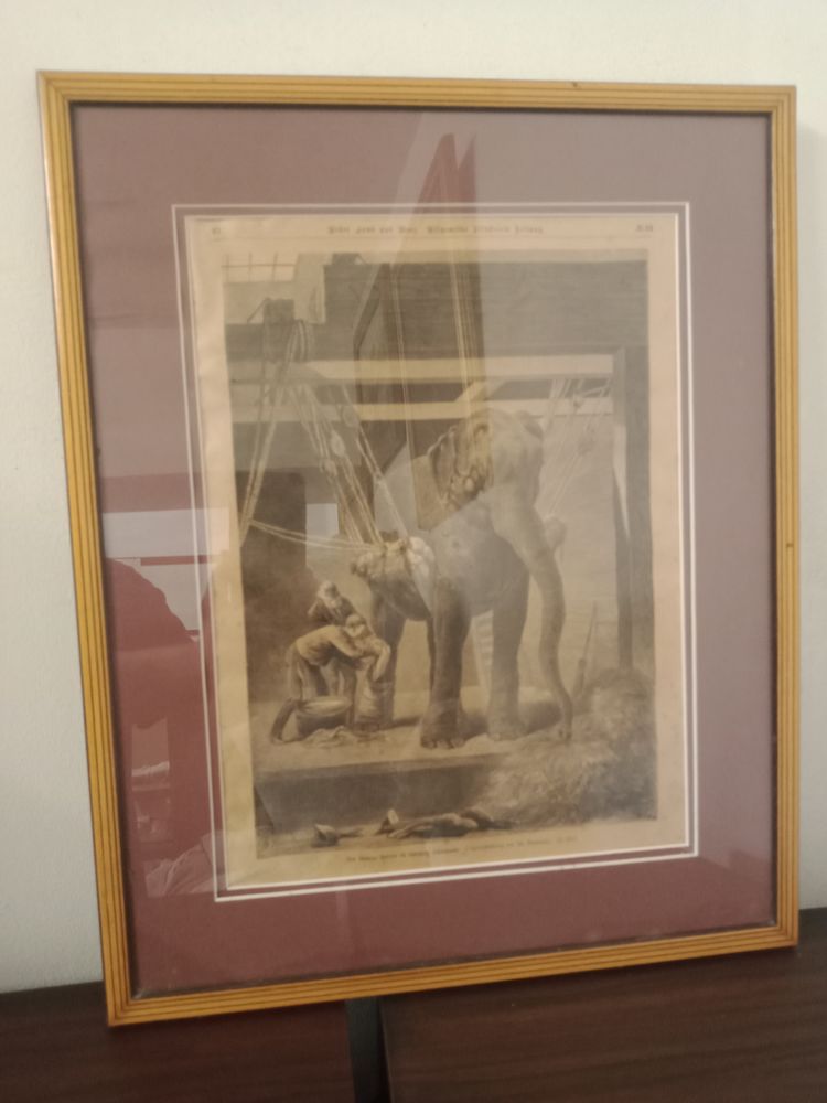 Tableau gravure sign� 40 Nice (06)