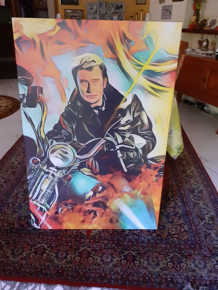 tableau johnny hallyday 300 Les Salles-du-Gardon (30)