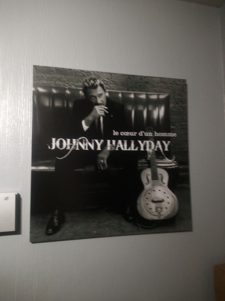 tableau johnny 20 Maisoncelles-en-Brie (77)