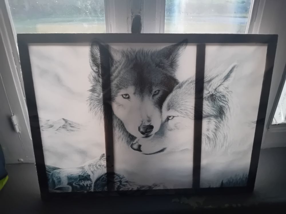 Tableau loup 50 Saint-Didier-d'Aussiat (01)