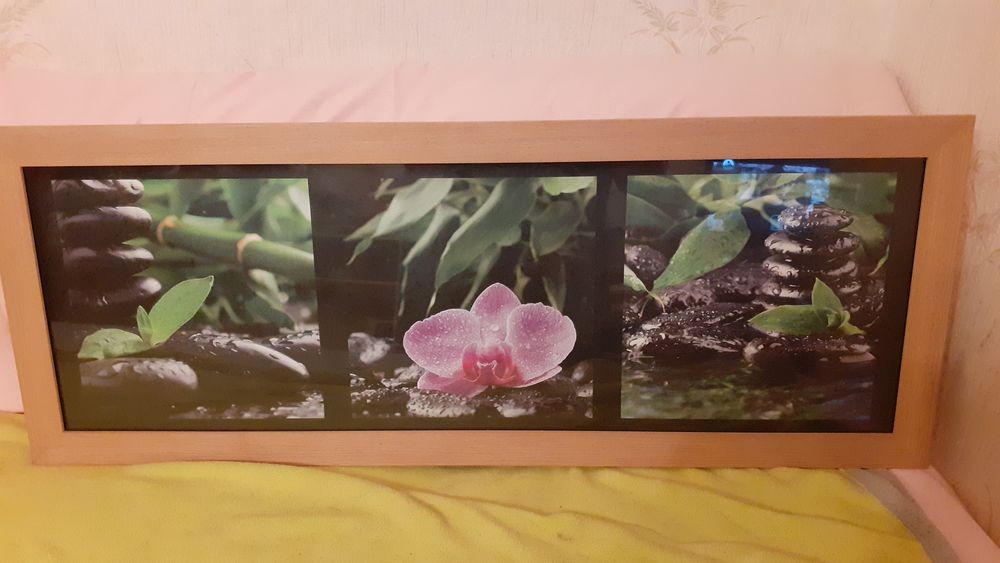 Tableau n�nuphar zen et bien-�tre 16 Br�tigny-sur-Orge (91)