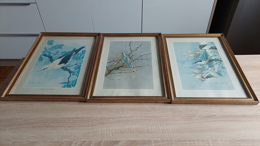 Tableau oiseaux 14 Cournon-d'Auvergne (63)