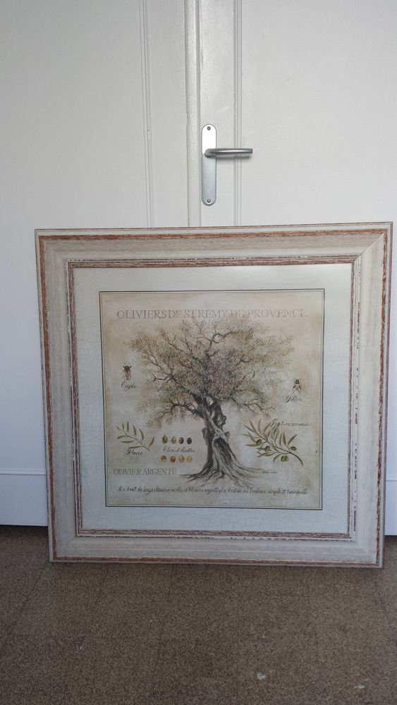 TABLEAU OLIVIER ST REMY DE PROVENCE 80 Arles (13)