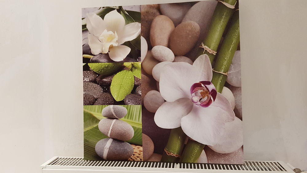 tableau orchid�e 10 Nancy (54)