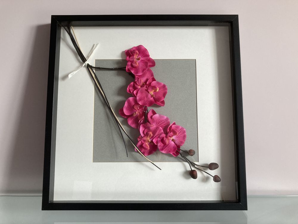 TABLEAU ORCHIDEE 20 Bormes-les-Mimosas (83)