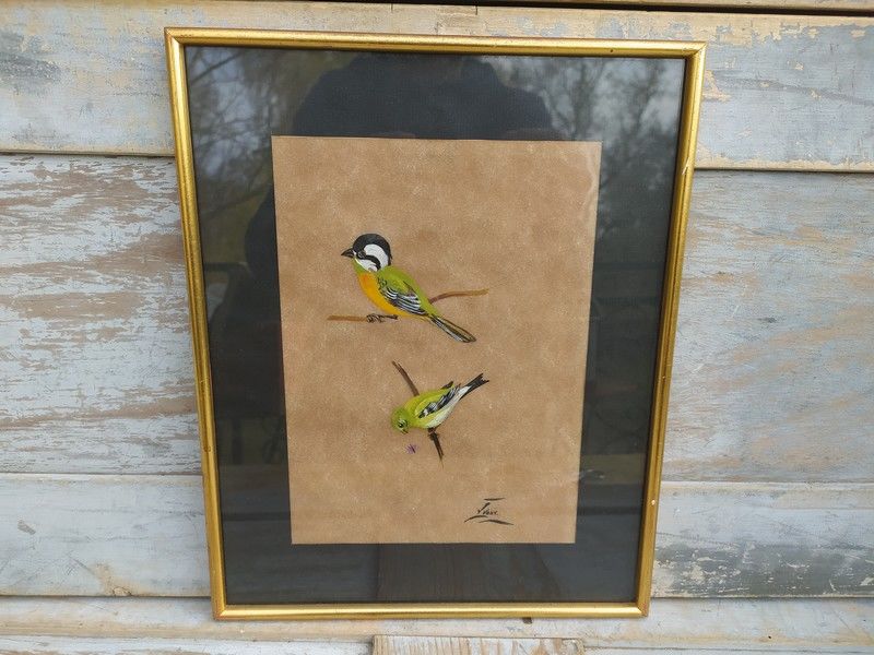 Tableau Ornithologie Oiseau Falconelle � Casque Sign� Yvone 45 Loches (37)