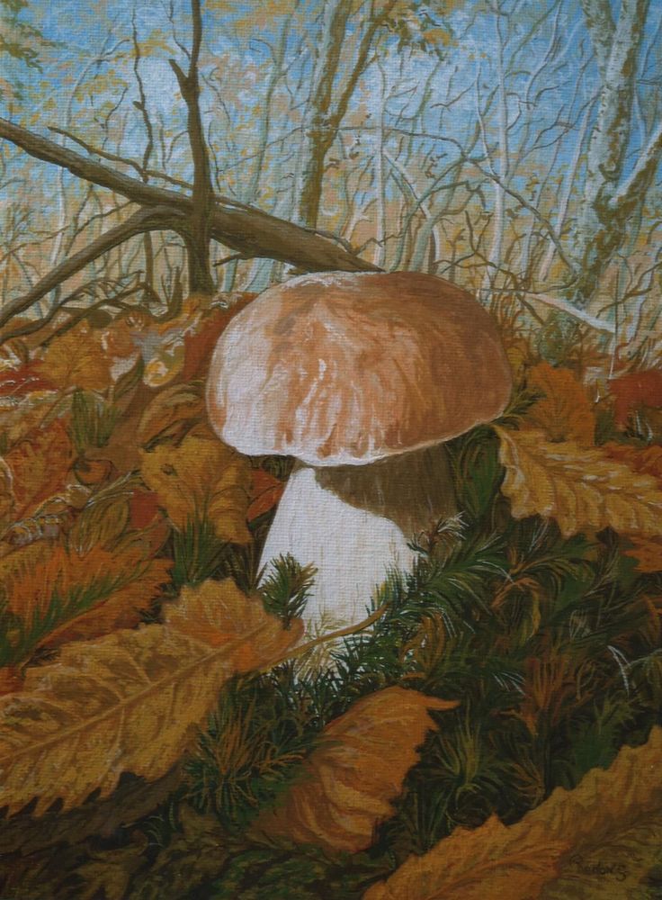 Tableau peinture champignon 100 Verneuil-sur-Vienne (87)