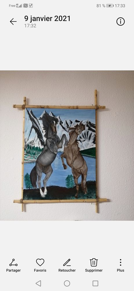 Tableau peinture chevaux 60 Sophia Antipolis (06)
