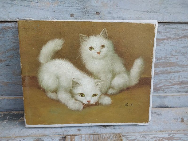 Tableau Petits Chats Chatons Blancs Sign� Bond 
70 Loches (37)