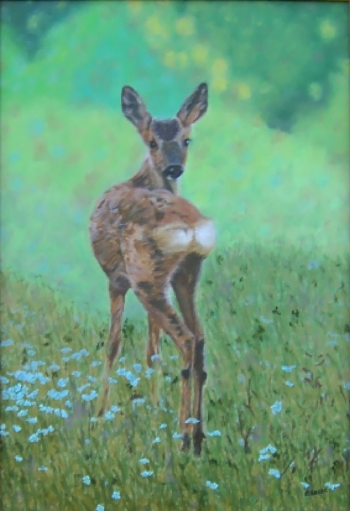 Tableau-photo Chevrette aux aguets�
85 Saint-Gen�s-Champespe (63)