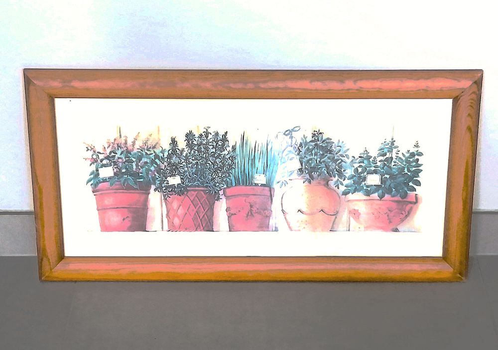 Tableau plantes aromatiques Maisons du Monde 5 Puteaux (92)