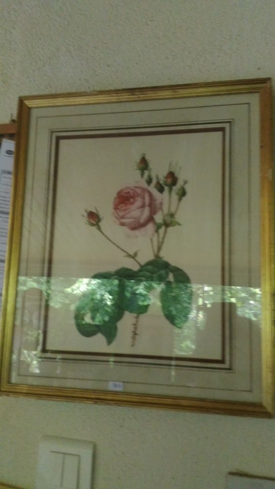 tableau � la rose 10 Les Brouzils (85)