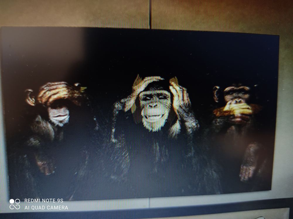 Tableau singes 50 Claye-Souilly (77)