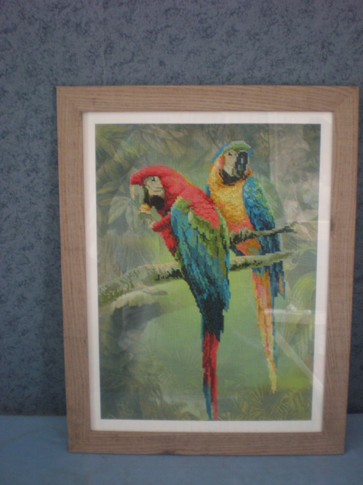 Tableau tapisserie canevas points compt�s neuf couple perroq 40 Odos (65)