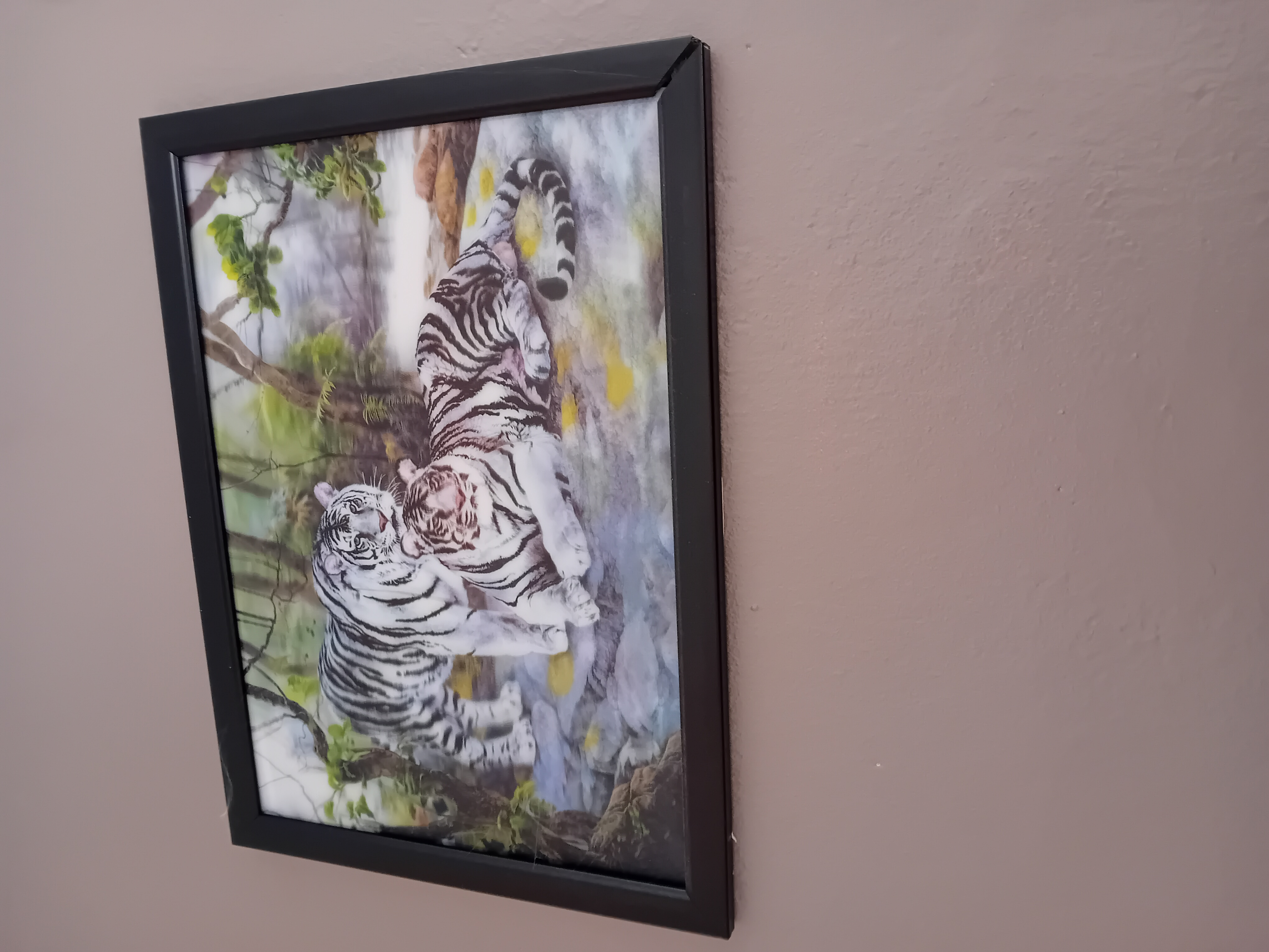 Tableau tigre 50 Saint-Didier-d'Aussiat (01)