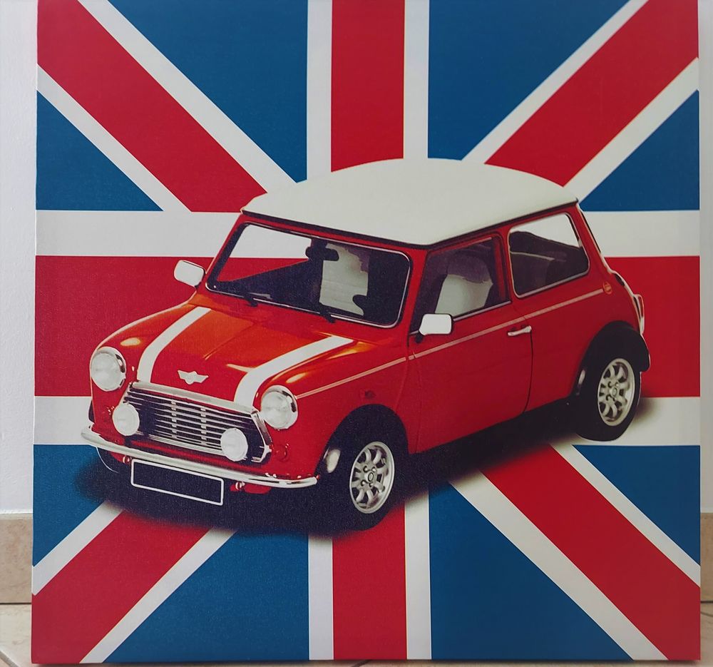 Tableau toile mini- cooper 20 Saint-Julien-de-Concelles (44)