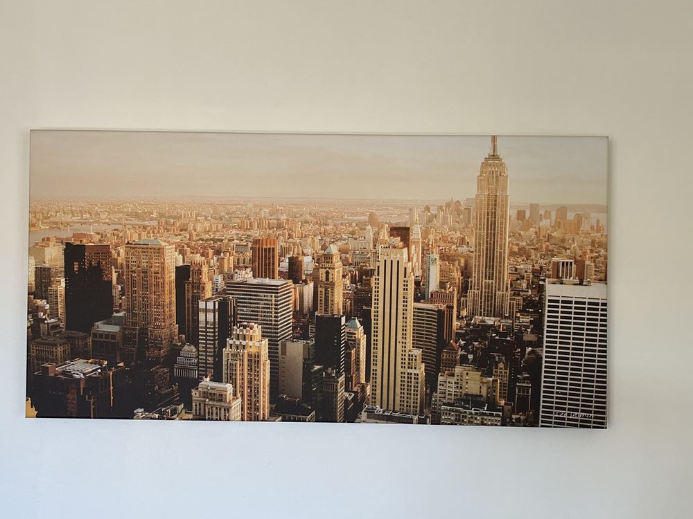 tableau vue de New York 12 Lyon 3 (69)