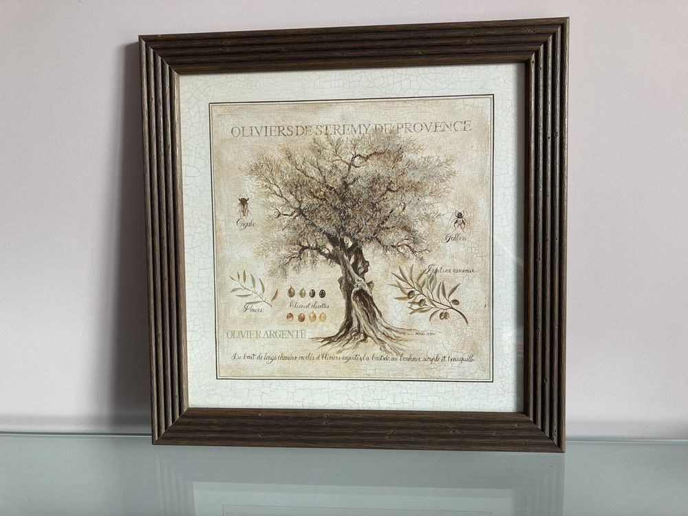 TABLEAU 20 Bormes-les-Mimosas (83)