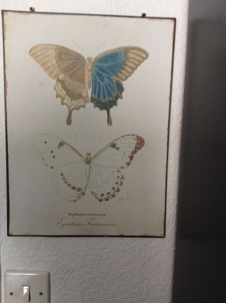 Tableau 12 Saint-Di�-des-Vosges (88)