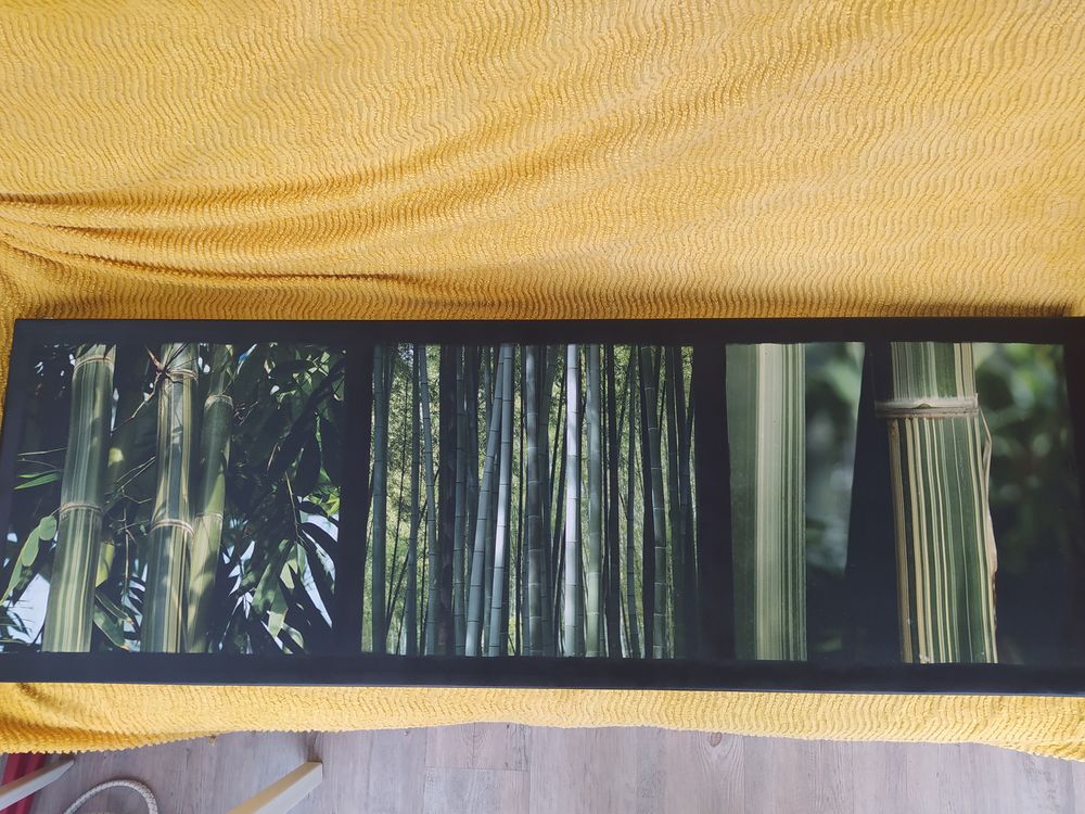 TABLEAU ZEN 13 Gilette (06)