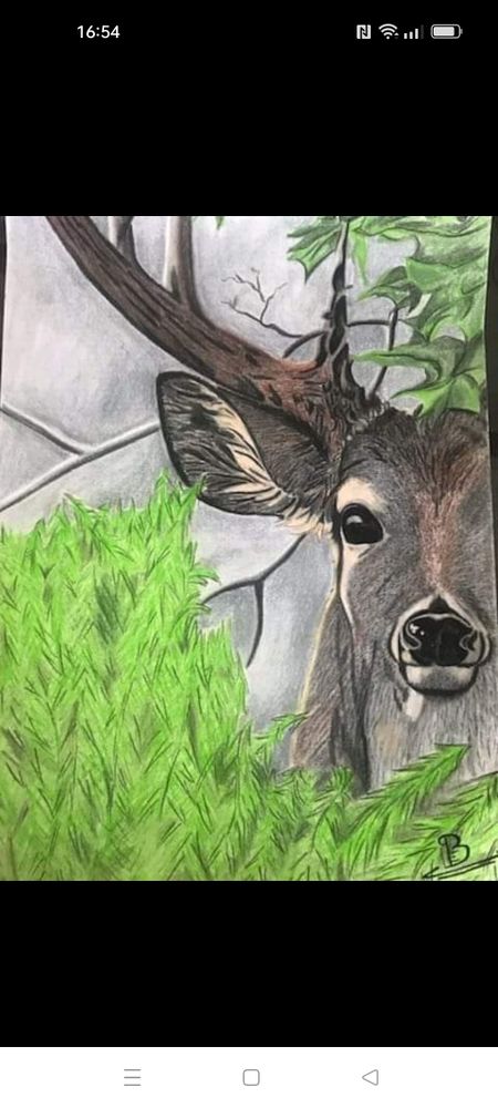 tableau 50 Marseillan (34)