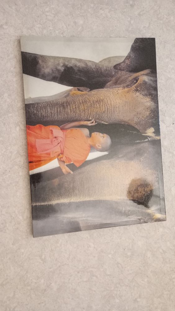 tableau 15 Seyssins (38)