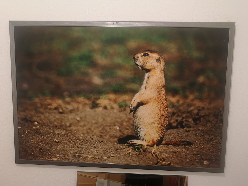 Tableau 5 Villeneuve-Tolosane (31)