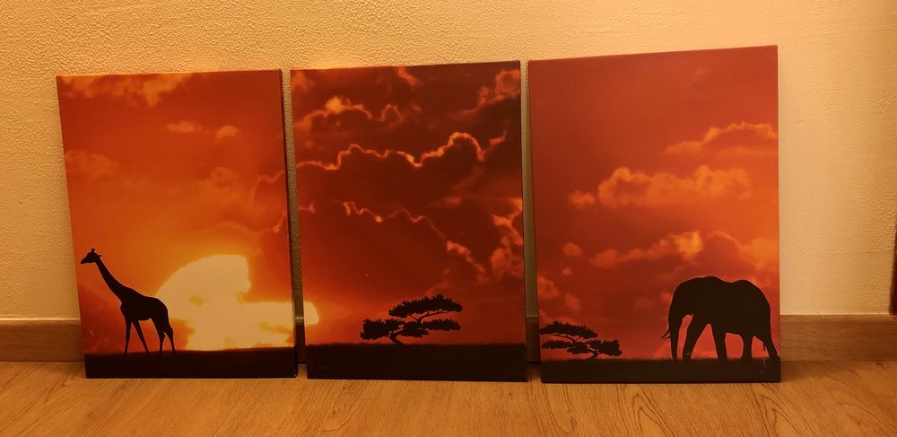 Tableaux cadres triptyque toiles 22 Magny-Cours (58)