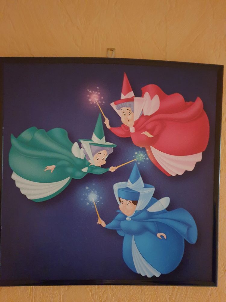 Tableaux Disney 5 Lyon 7 (69)