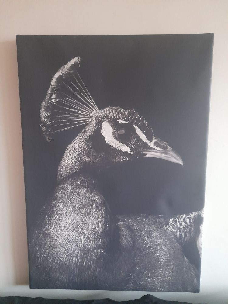 lot 3 tableaux impression sur toile tbe 30 Charenton-le-Pont (94)