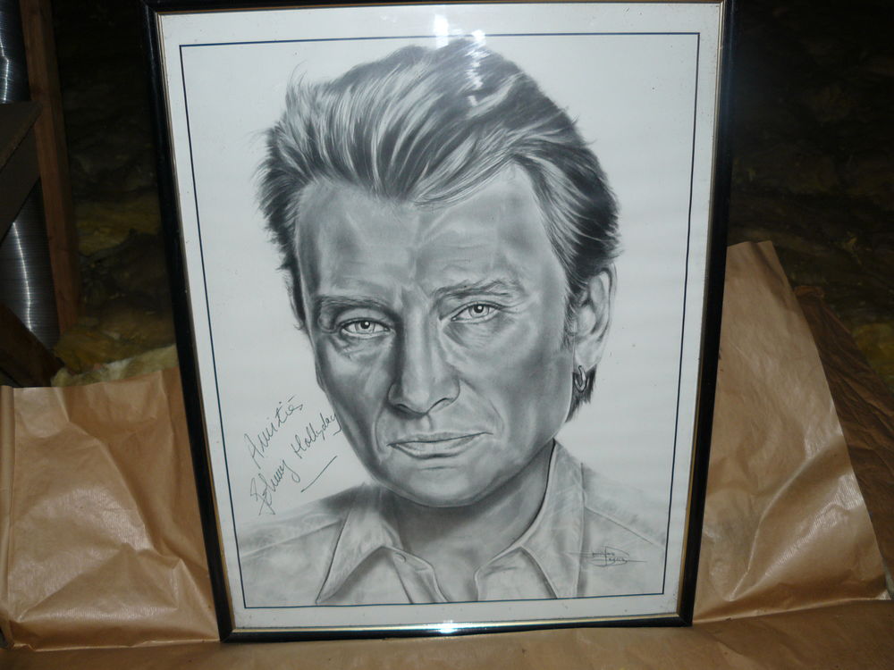 tableaux de Johnny halliday 100 Saint-Germain-sur-�cole (77)