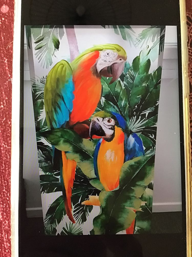 Tableaux en toile 20 Camar�s (12)