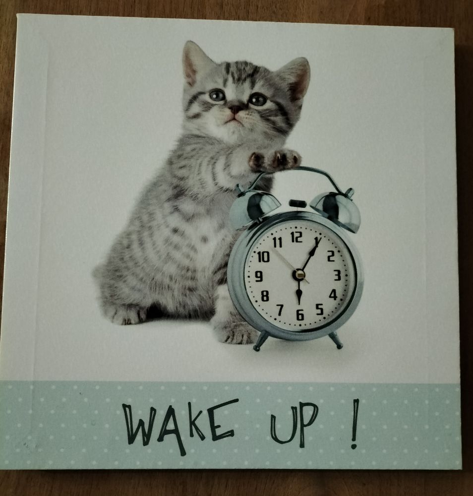 Tableaux en toile 4 Satillieu (07)