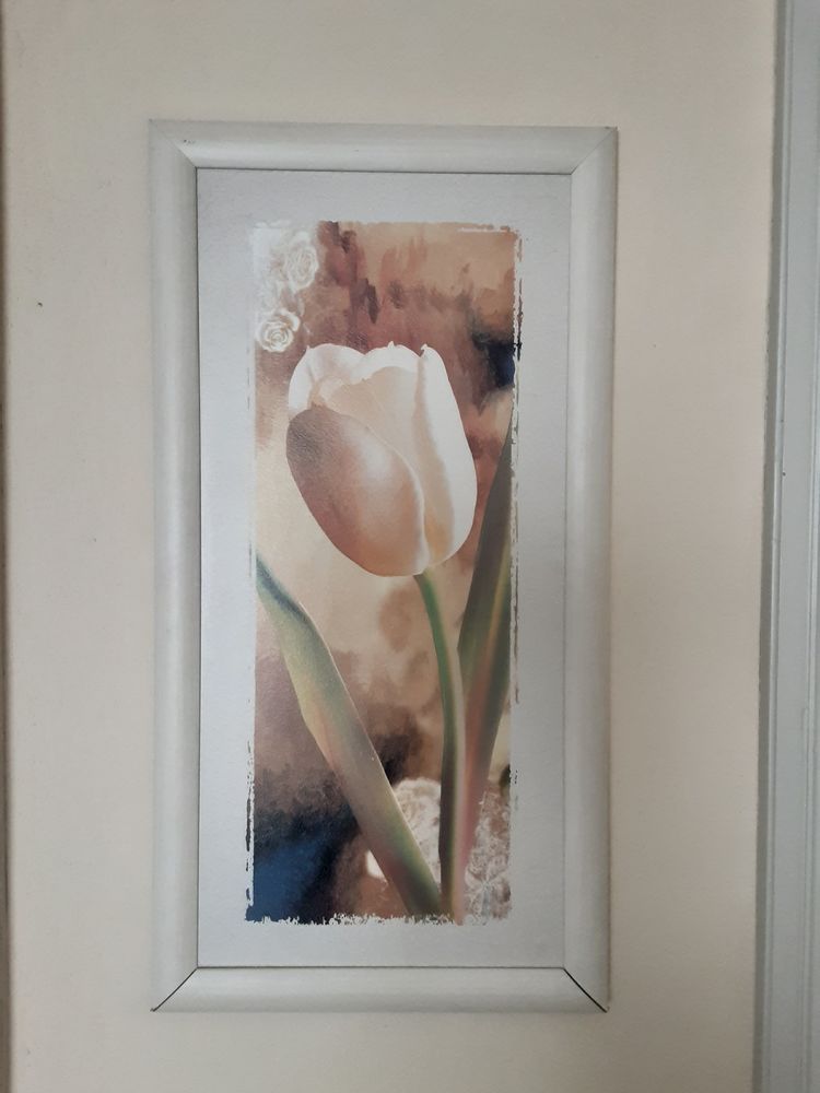 lot de 2 tableaux 10 Villeneuve-l�s-B�ziers (34)