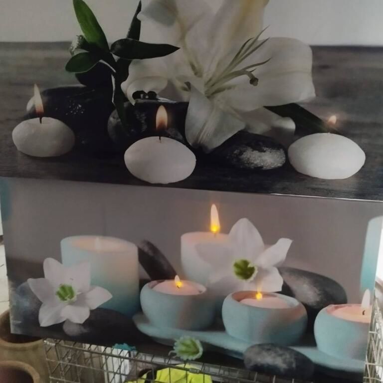 Tableaux '' ZEN '' 0 Lafitte-sur-Lot (47)