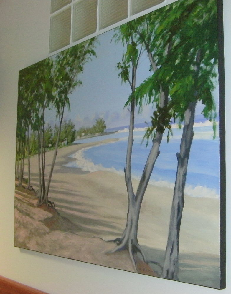 Tableaux 750 Saint-Louis (97)