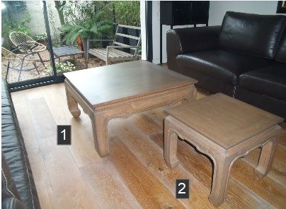 Tables basses salon 150 Lyon 3 (69)