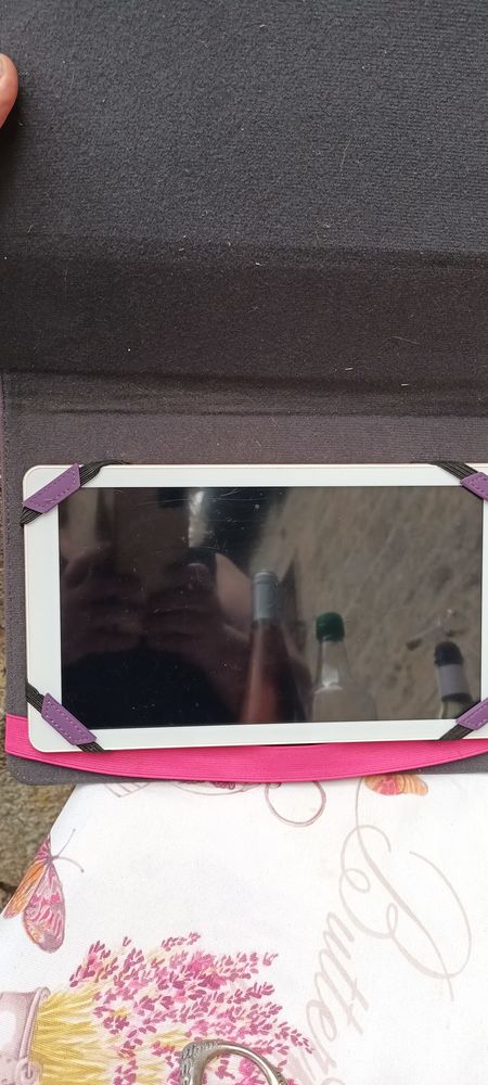 tablette danew  8 giga 30 Montregard (43)