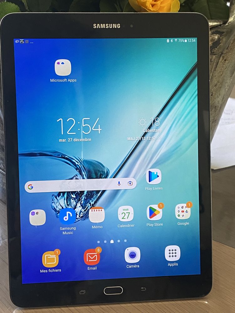 Tablette SAMSUNG TAB S2 110 Cabestany (66)