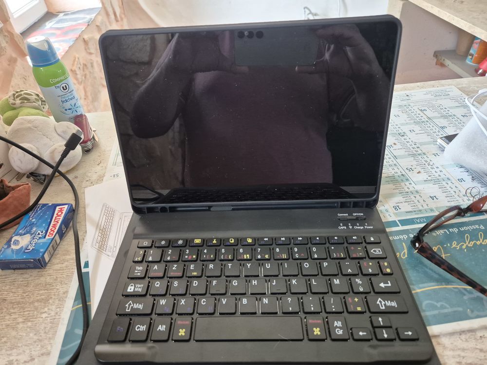 TABLETTE SAMSUNG A9 + 260 Varades (44)