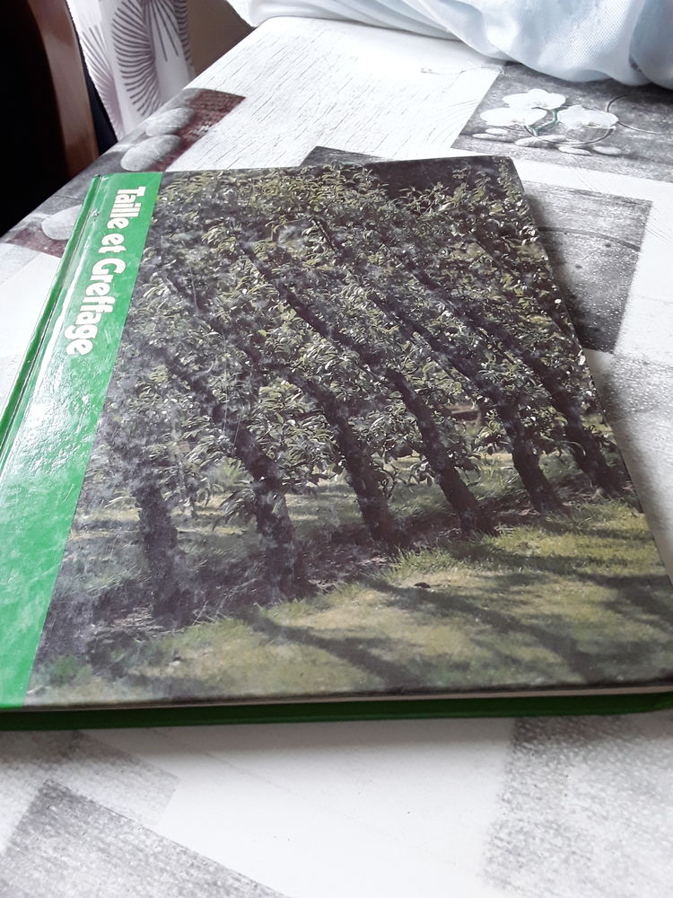 Taille et greffage 10 Combs-la-Ville (77)