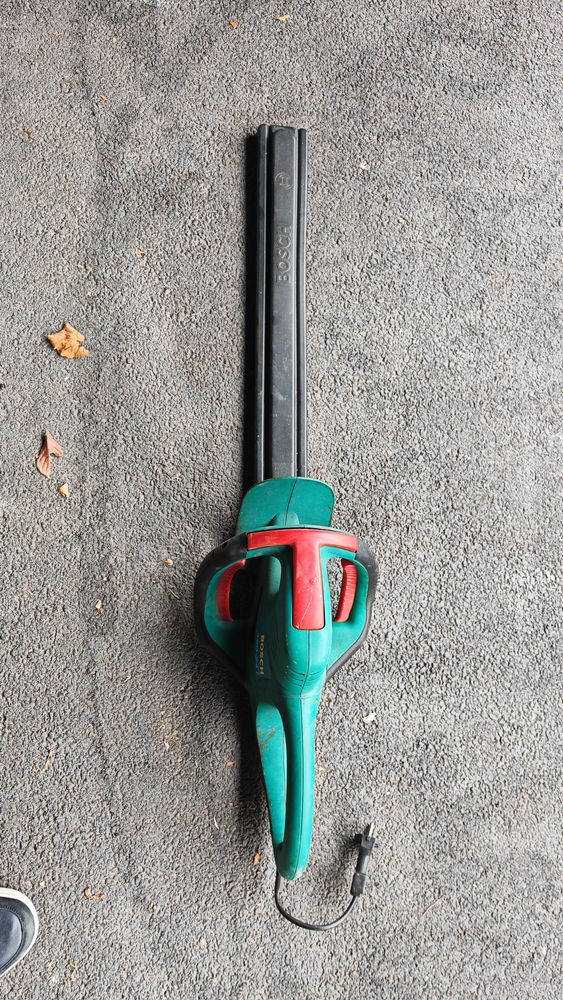 taille haie bosch 14 Lesquin (59)