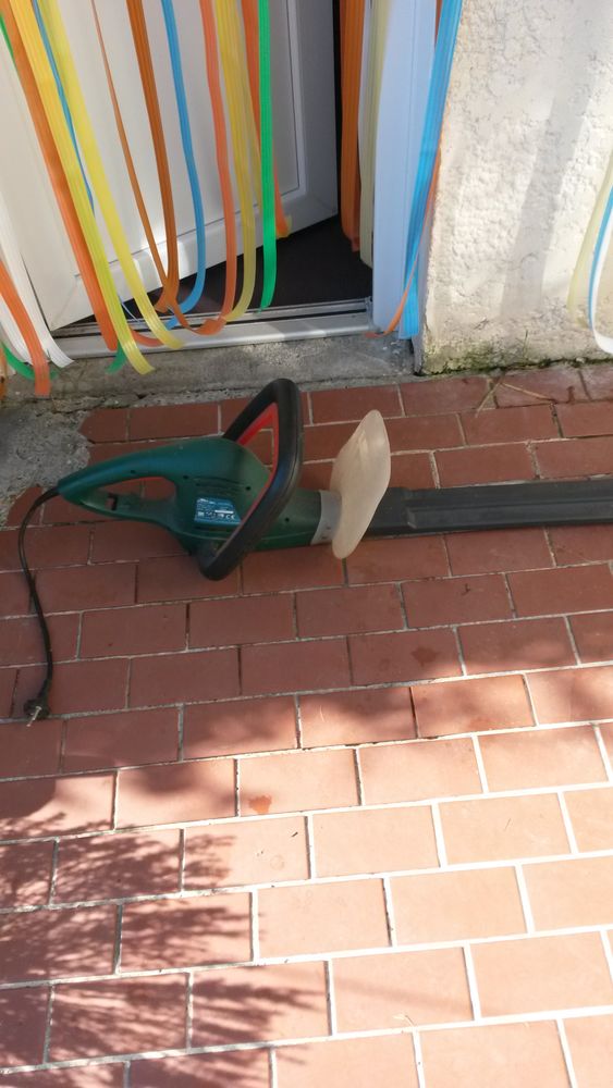 taille haie electrique 10 Eyrans (33)