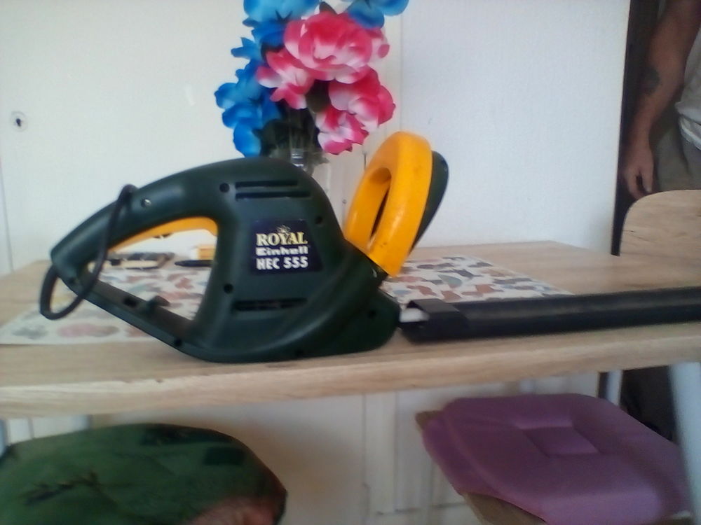 taille haie �lectrique 20 Dombasle-sur-Meurthe (54)