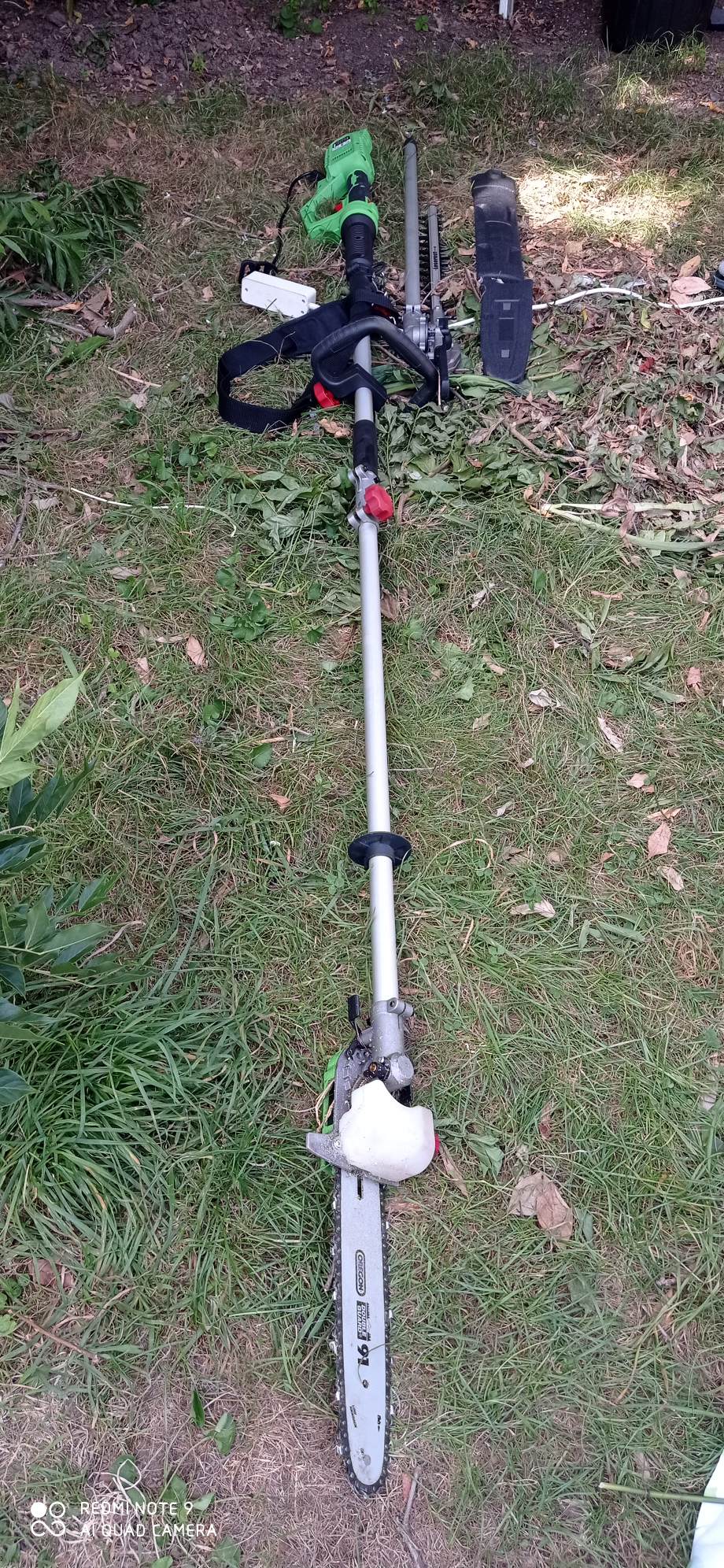 taille haie plus elagueuse 80 Saint-Nazaire (44)