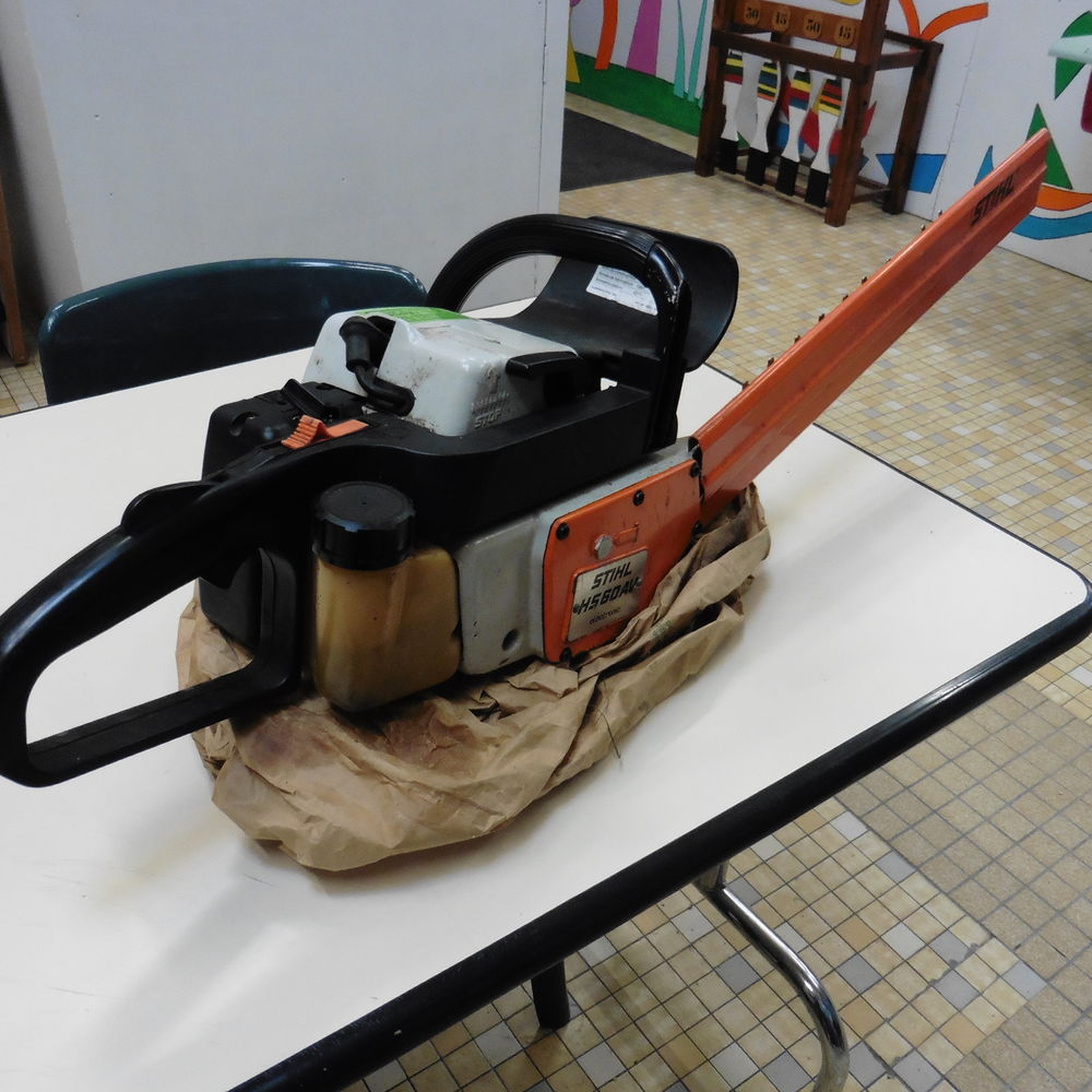 Taille Haie STHIL Thermique 100 Chartres (28)