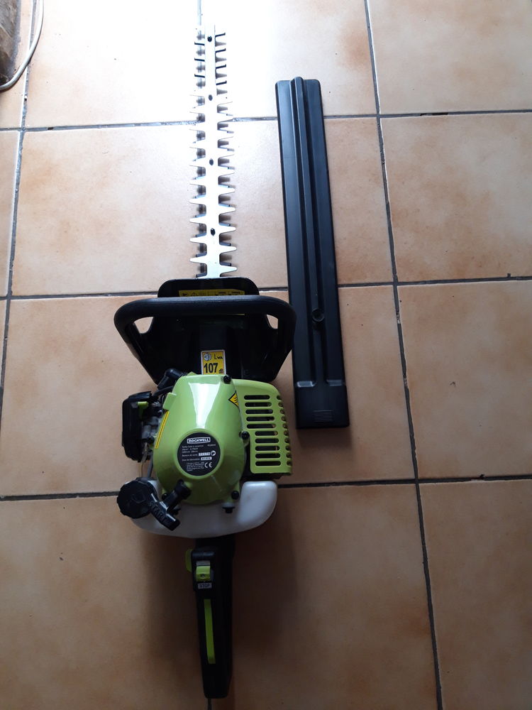 Taille haie thermique 70 Marseille 11 (13)